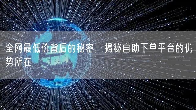 全网最低价背后的秘密,揭秘自助下单平台的优势所在