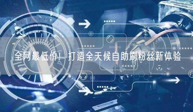 全网最低价!打造全天候自助刷粉丝新体验