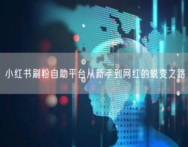 小红书刷粉自助平台从新手到网红的蜕变之路