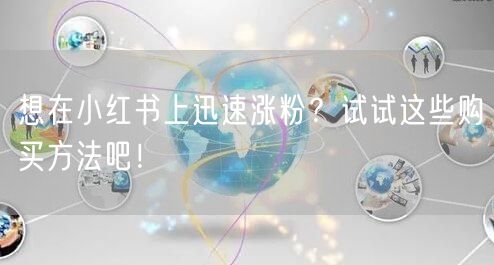 想在小红书上迅速涨粉?试试这些购买方法吧!