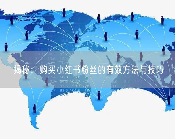 揭秘:购买小红书粉丝的有效方法与技巧