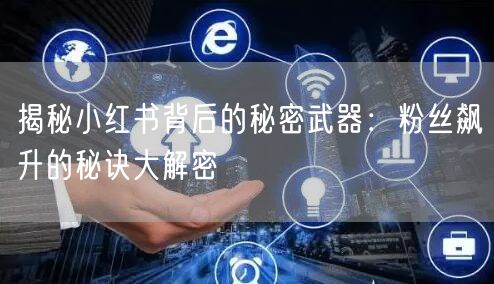 揭秘小红书背后的秘密武器：粉丝飙升的秘诀大解密