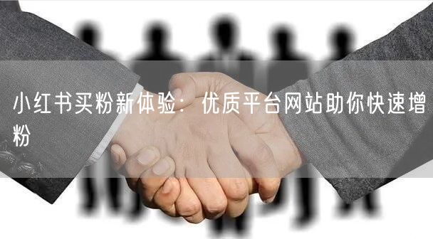 小红书买粉新体验:优质平台网站助你快速增粉