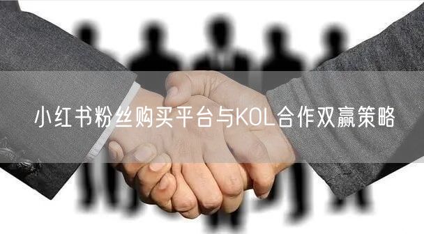 小红书粉丝购买平台与KOL合作双赢策略